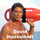 More about hasselhoff
